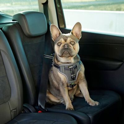 Kerbl Pet Car Safety Harness 50-65 cm Black