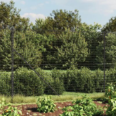 vidaXL Wire Mesh Fence Anthracite 2x25 m Galvanised Steel