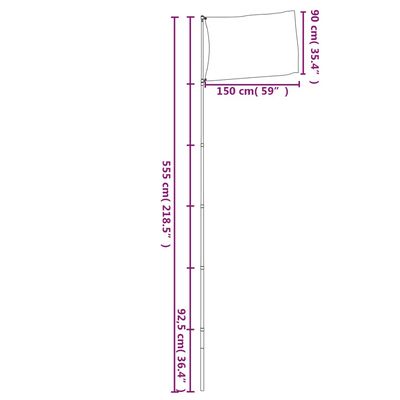 vidaXL Ireland Flag and Pole 5.55 m Aluminium