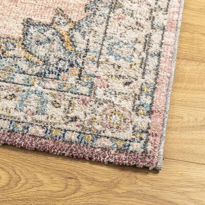 vidaXL Rug ARBIZU Indoor and Outdoor Vintage Design 80x250 cm