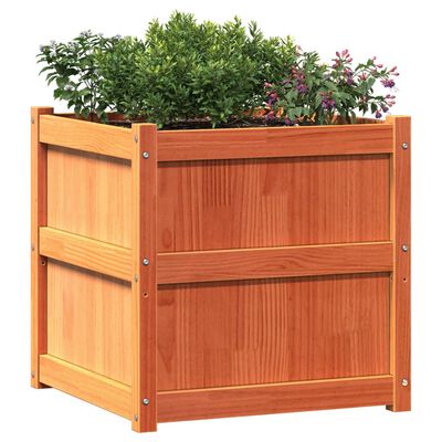 vidaXL Garden Planter Wax Brown 60x60x60 cm Solid Wood Pine