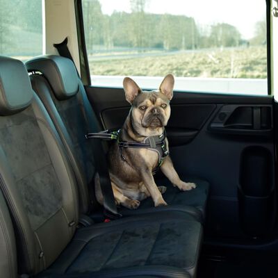 Kerbl Pet Car Safety Harness 50-65 cm Black