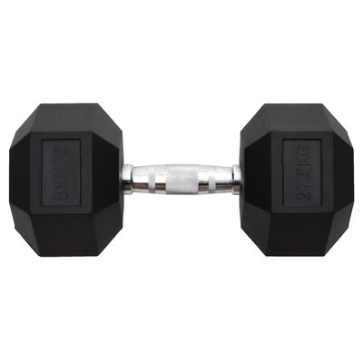 vidaXL Dumbbell 27.5 kg Cast Iron