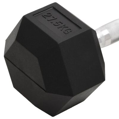 vidaXL Dumbbell 27.5 kg Cast Iron