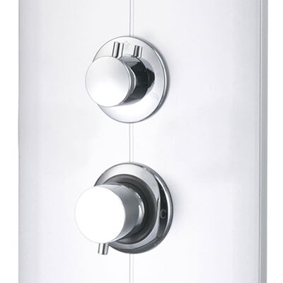 vidaXL Shower Panel Unit 25x43x110 cm Silver