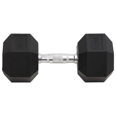 vidaXL Dumbbell 27.5 kg Cast Iron