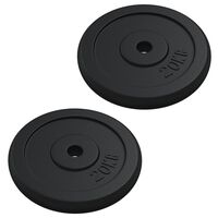 vidaXL Weight Plate 40 kg Cast Iron