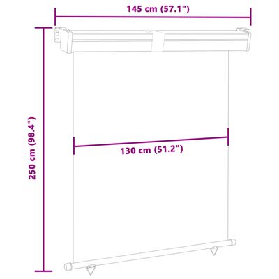 vidaXL Balcony Side Awning 145x250 cm Black