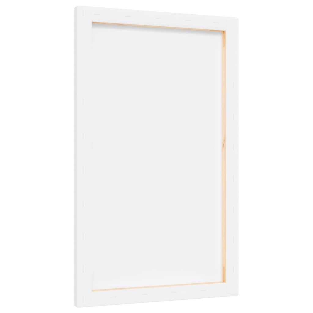 vidaXL Stretched Canvases 12 pcs White Fabric and Solid Wood Pine