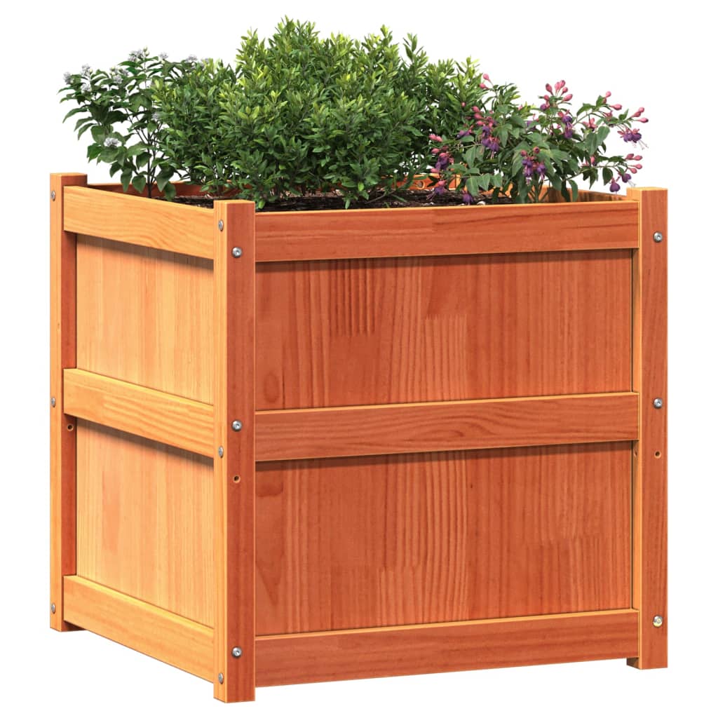 vidaXL Garden Planter Wax Brown 60x60x60 cm Solid Wood Pine