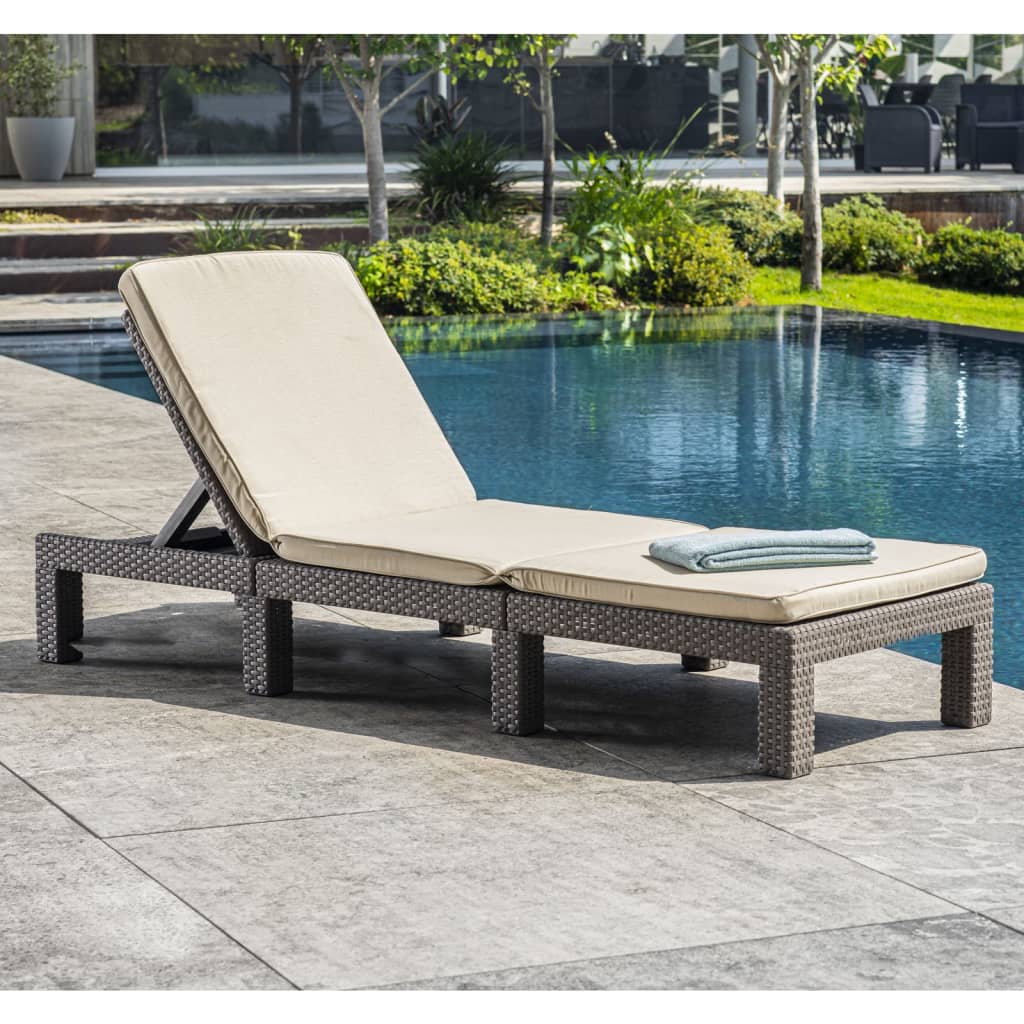 Keter Sunlounger with Cushion Daytona Cappuccino