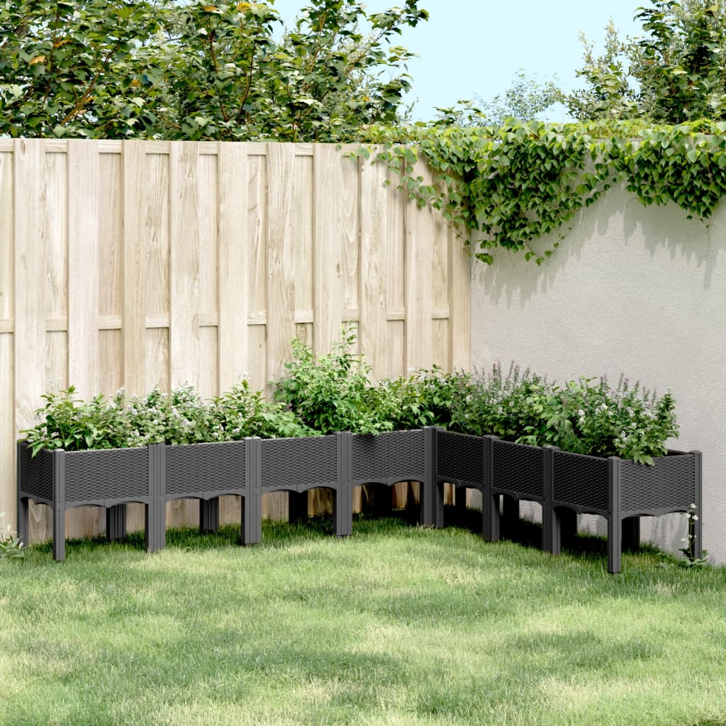 vidaXL Garden Planter with Legs Black 200x160x42 cm PP