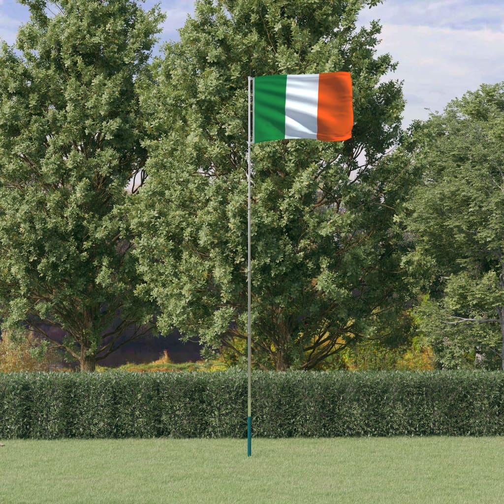 vidaXL Ireland Flag and Pole 5.55 m Aluminium