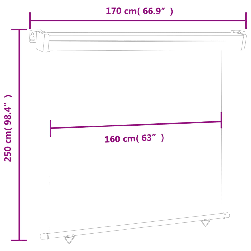 vidaXL Balcony Side Awning 175x250 cm Black