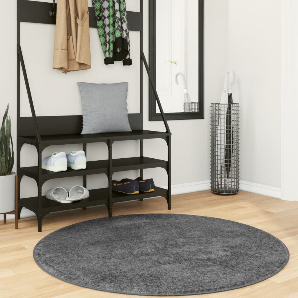 vidaXL Rug OVIEDO Short Pile Anthracite Ø 120 cm