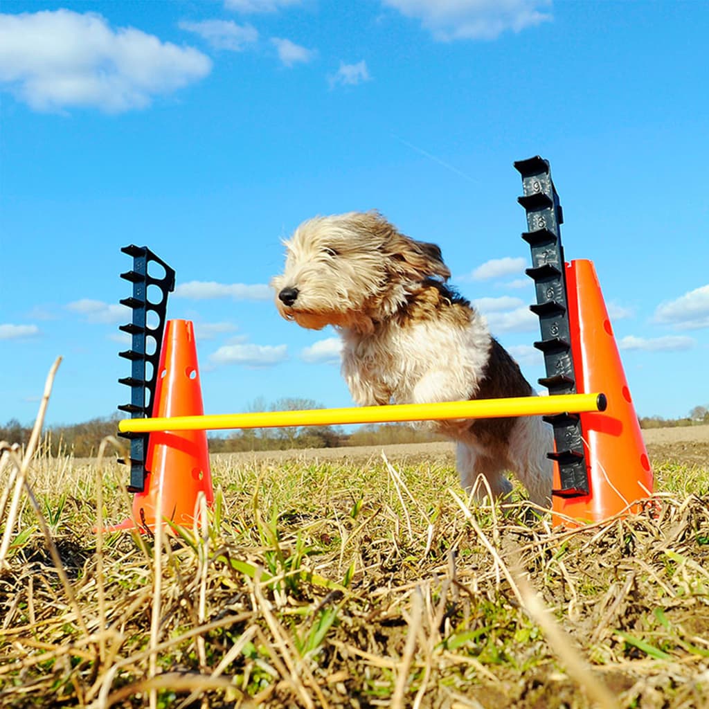 FitPAWS Hurdle Set