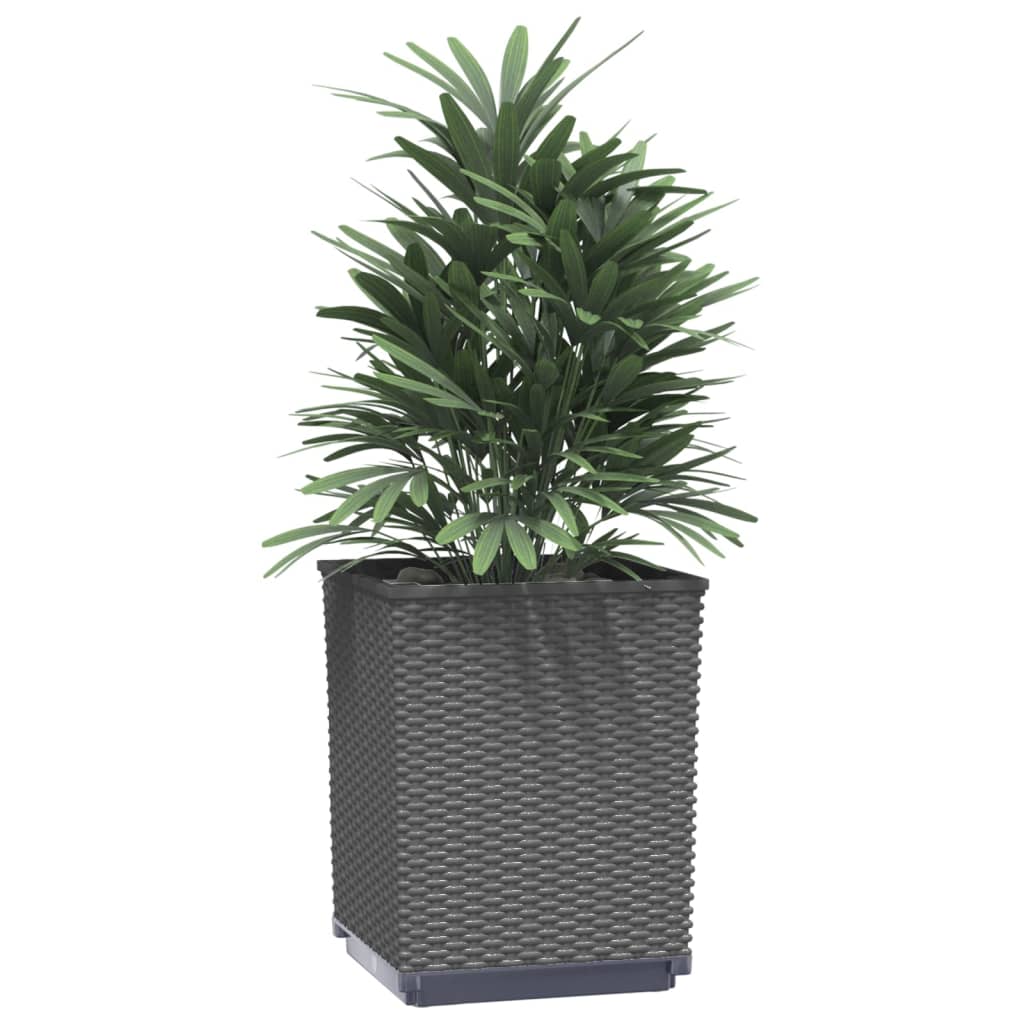 vidaXL Planters 4 pcs Black 30x30x37 cm Polypropylene